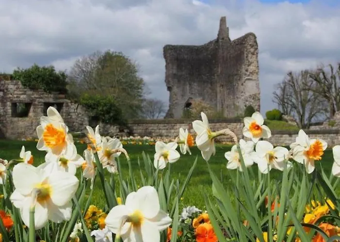 La Loge Entre Pierre & Histoire דירה